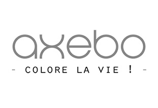 Logo Axebo